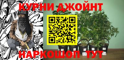 стаф Ставрополь