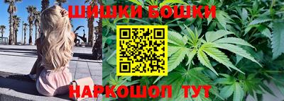 стаф Ставрополь