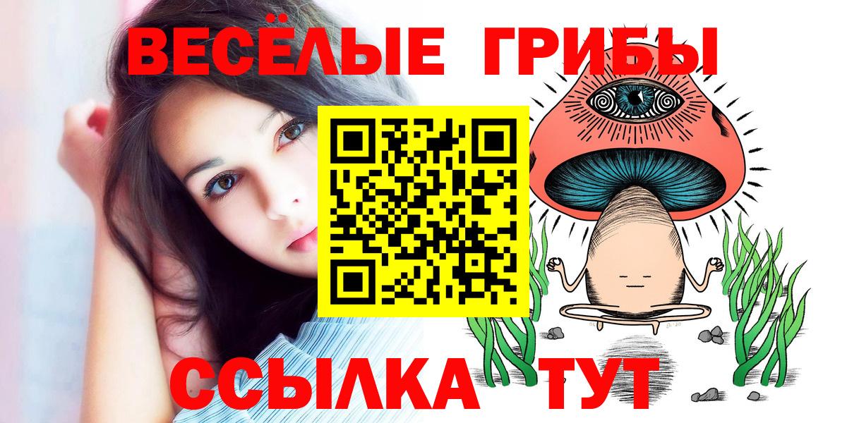 Псилоцибиновые грибы Cubensis  Вход с VPN  Рославль  Псилоцибиновые грибы прущие грибы 