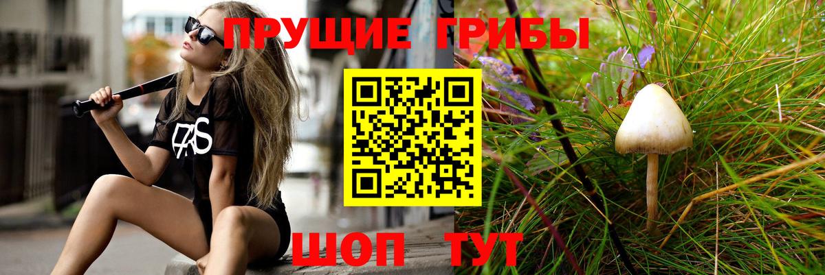 Галлюциногенные грибы Psilocybine cubensis Рославль